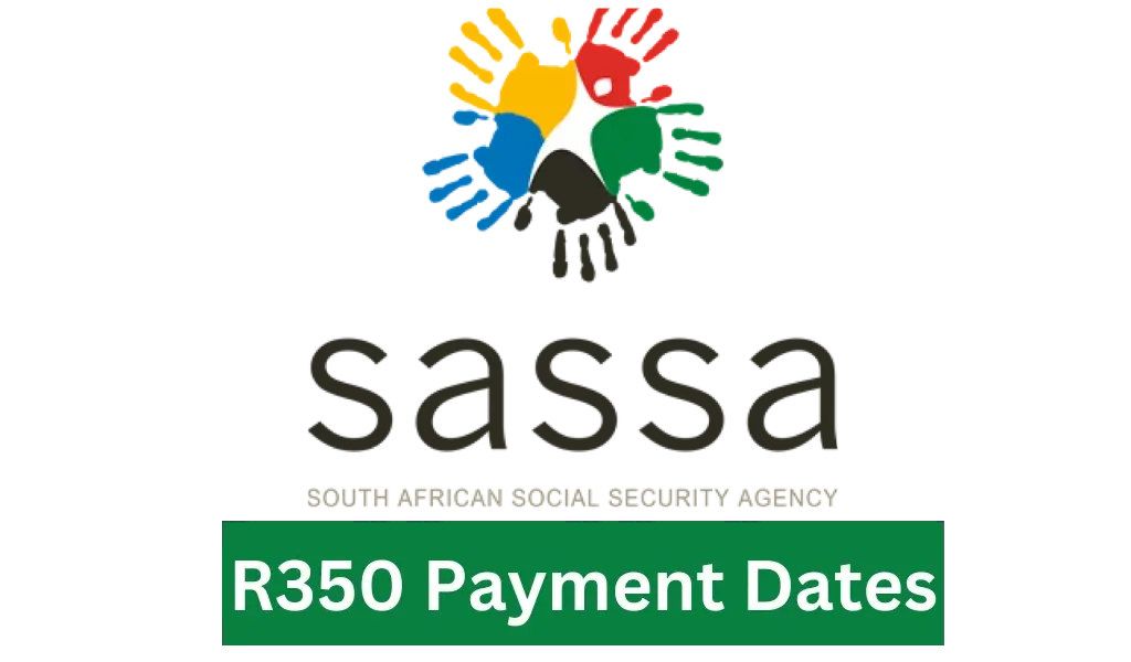 Sassa Status Check For R350